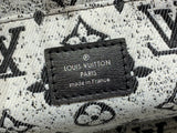 BORSA LV HANDBAG